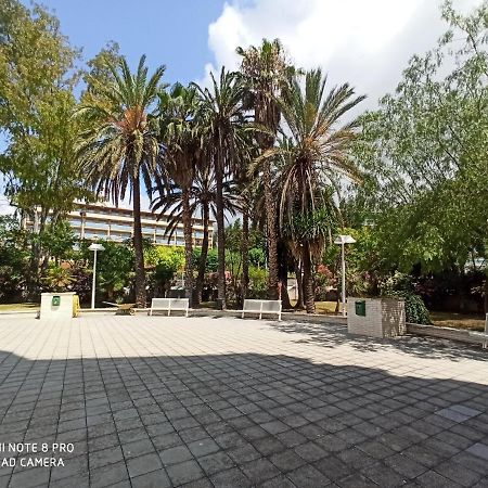 Apartaments Familiar Cerca Port Aventura سالو المظهر الخارجي الصورة